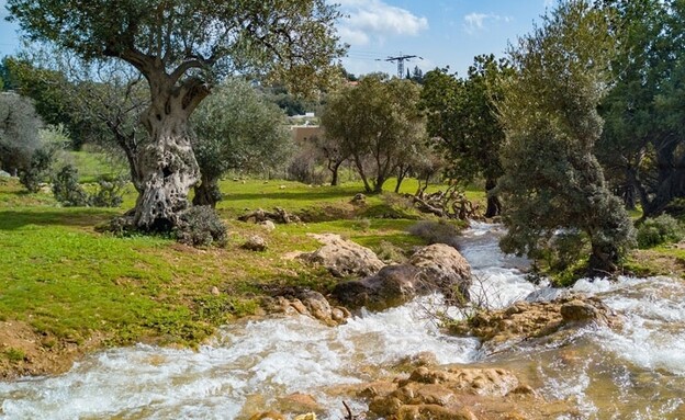נחל פרוד נחל פרוד