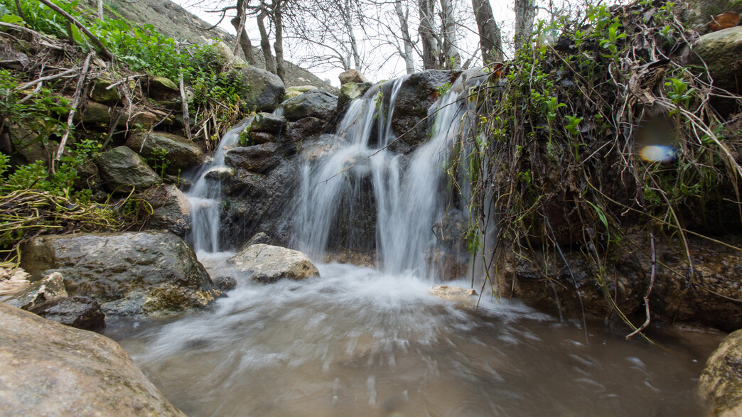עין עלווה עין עלווה