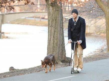 Stickman/Bauer-Griffin/GC Images, Getty (צילום: ספורט 5)