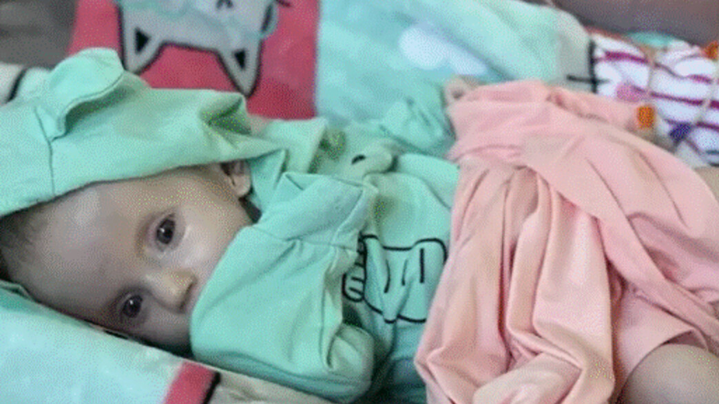 הייזל הייזל