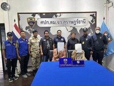 ישראלים מסתבכים בקופנגן (צילום: MGRONLINE)