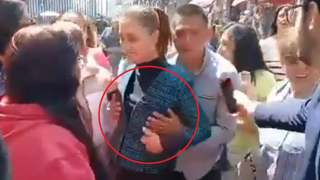 קלאודיה שיינבאום קלאודיה שיינבאום