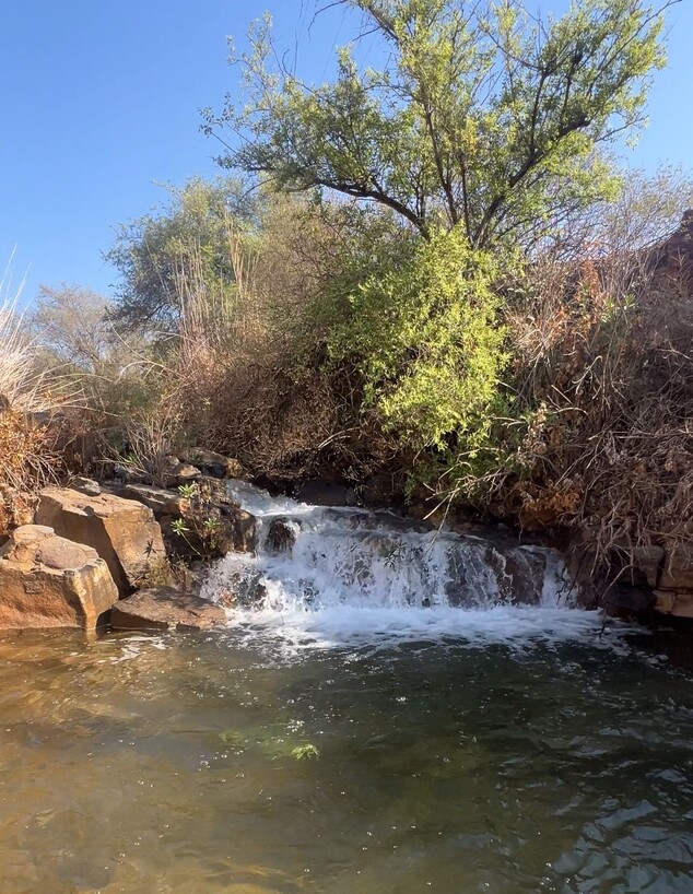 נחל צלמון נחל צלמון