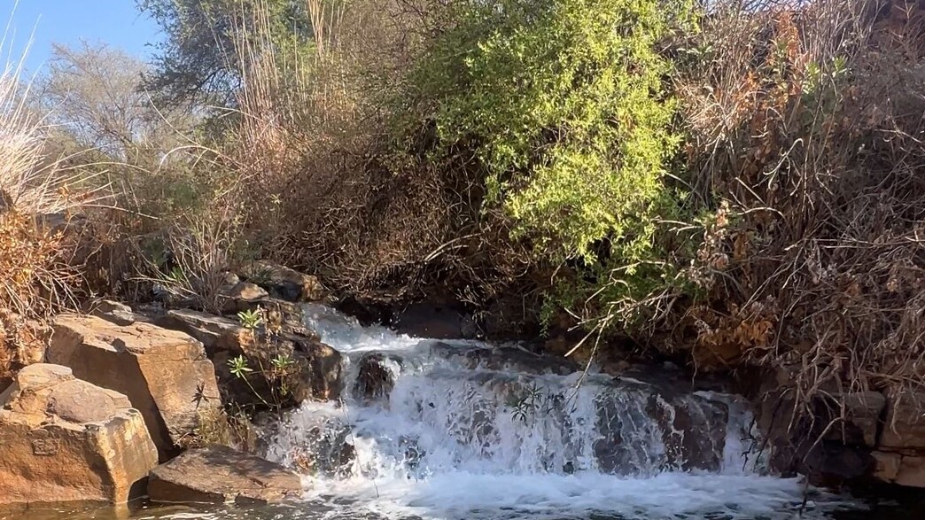 בריכות חבויות, יקבים ומסעדות שף: טיול גלילי מושלם 