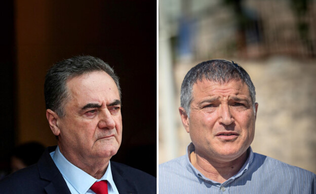 דוד זיני, ישראל כ