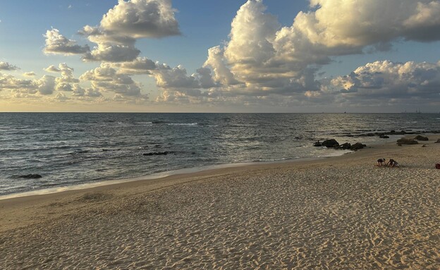 גדור איש רץ מכמורת חוף