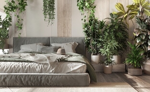 עציצים בחדר שינה (צילום: Shutterstock)