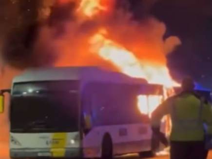 sportFive1624552 sportFive1624552