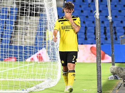 (ברני ארדוב)