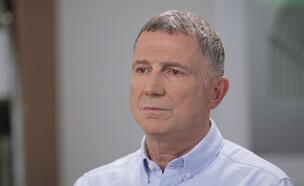 יולי אדלשטיין