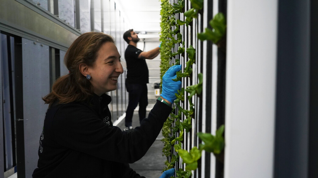 חקלאות אנכית של חברת Freight Farms חקלאות אנכית של חברת Freight Farms