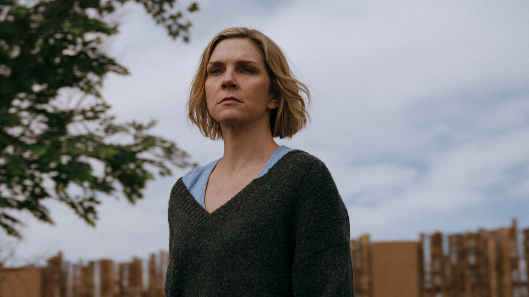 ריי סיהורן, "פלוריבוס"