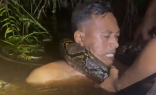 הרו (צילום: מתוך הרשתות החברתיות בהתאם לסעיף 27א' בחוק)