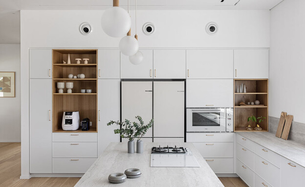 עיצוב פנים ברבורית 