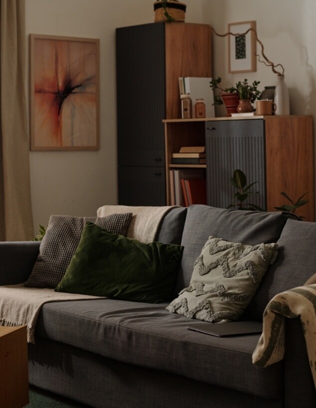 סלון, ספה אפורה