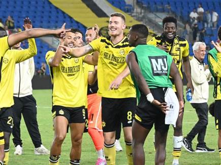 (ברני ארדוב)