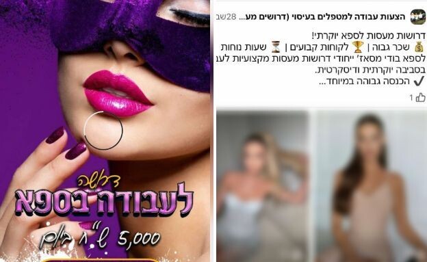 פרסומים זנות ברשת