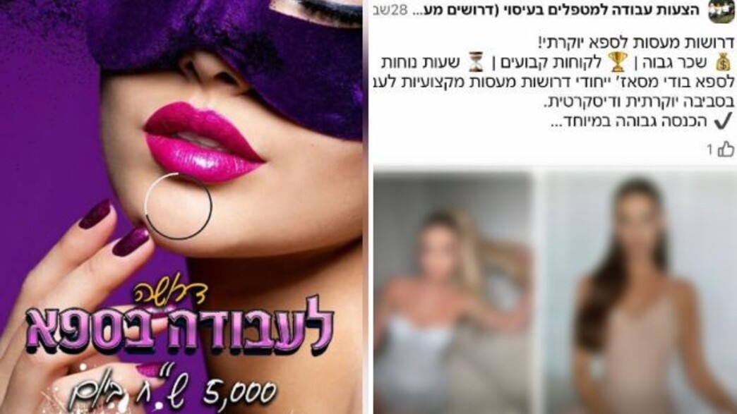 פרסומים זנות ברשת