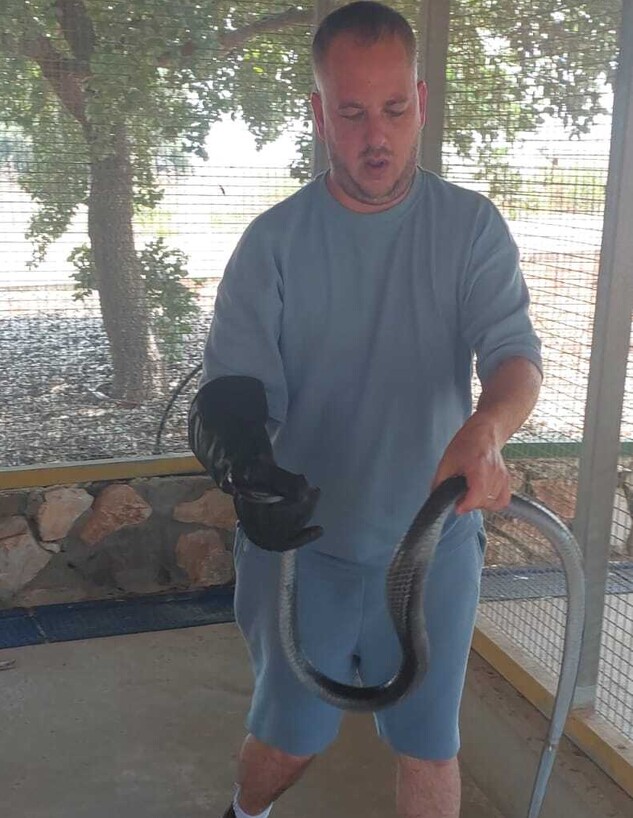 לוכד הנחשים חן ניניו