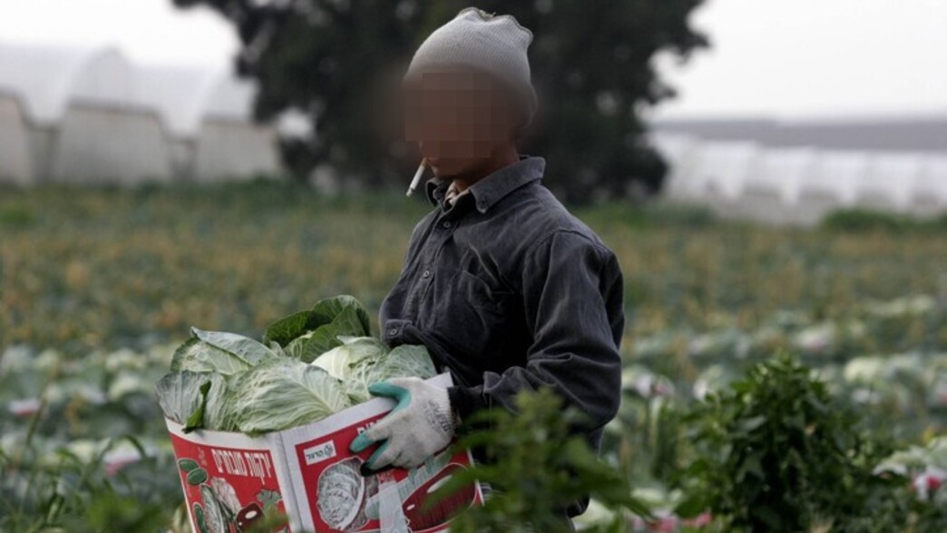 עובד זר מתאילנד