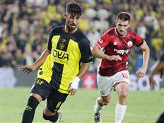 (צילום: אלן שיבר)