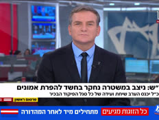 20mafcal_vtr2_n20251112_v1 (צילום: חדשות)