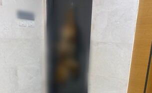 פגר התן שנתלה על דלת הדירה