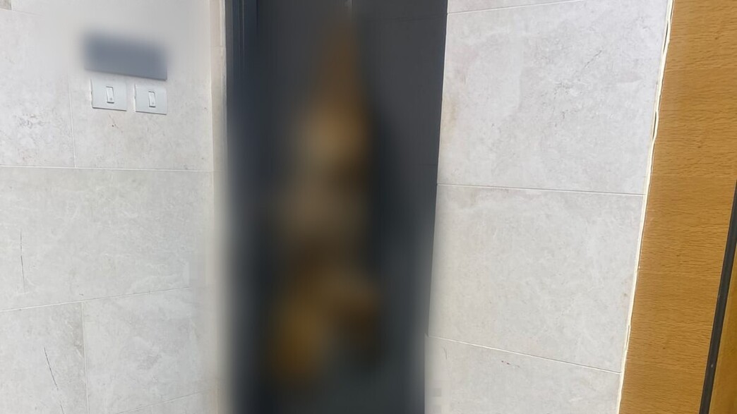 פגר התן שנתלה על דלת הדירה