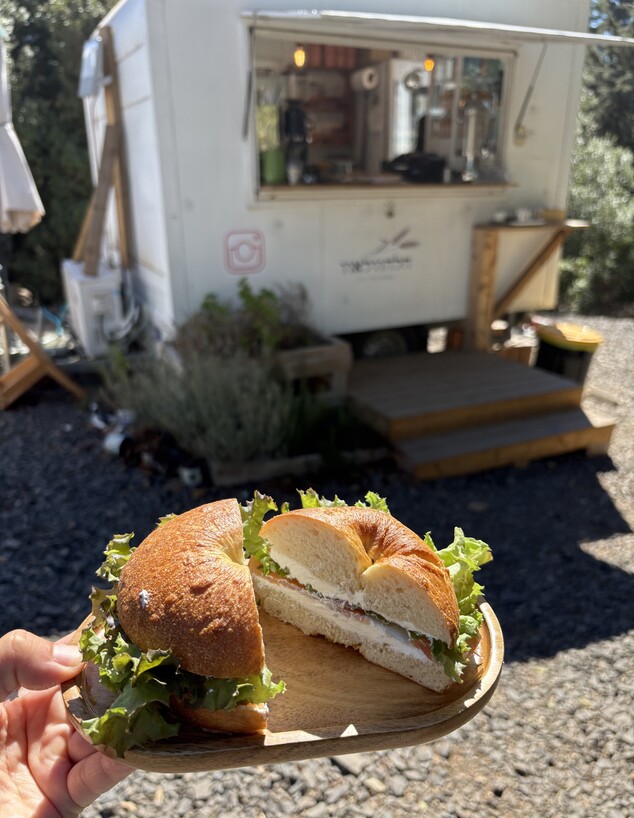 חלהוולאו חלהוולאו