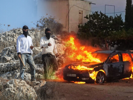 "אם לא מעצור את האנרכיסטים האלה זירות אחרות יתלקחו"