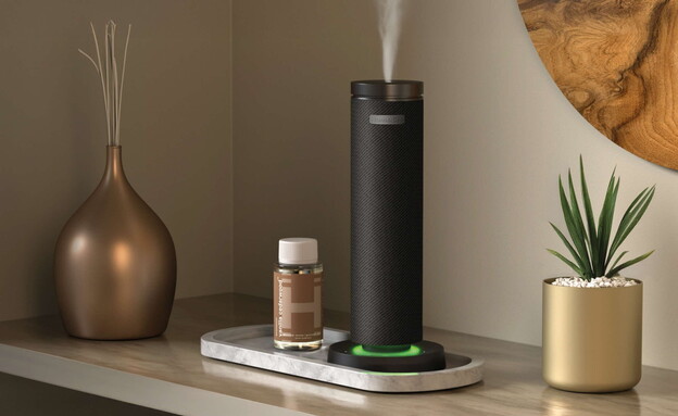 ד"ר גב וולנס