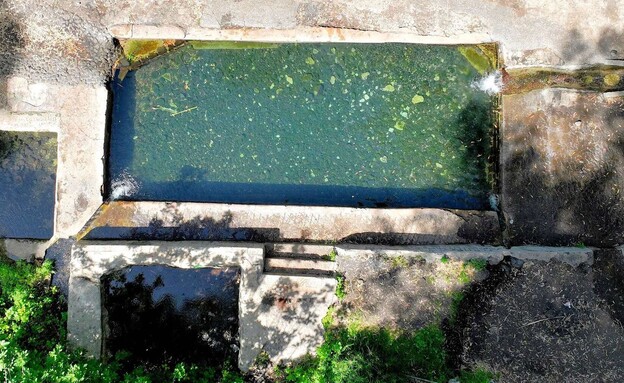 עין עלמיין (צילום: אבי אריש, לרשות ניקוז ונחלים כינרת)