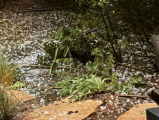 ברד כבד בפרדס חנה, עץ קרס בחדרה: תיעוד מהמבול בשרון