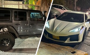 רכבים שעוקלו (צילום: דוברות המשטרה)