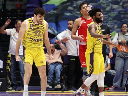 (אלן שיבר) (אלן שיבר)