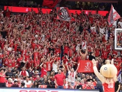 (אלן שיבר) (צילום: ספורט 5)