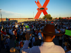 הפגנות במקסיקו סיטי נגד הממשל (צילום: רויטרס) הפגנות במקסיקו סיטי נגד הממשל (צילום: רויטרס)