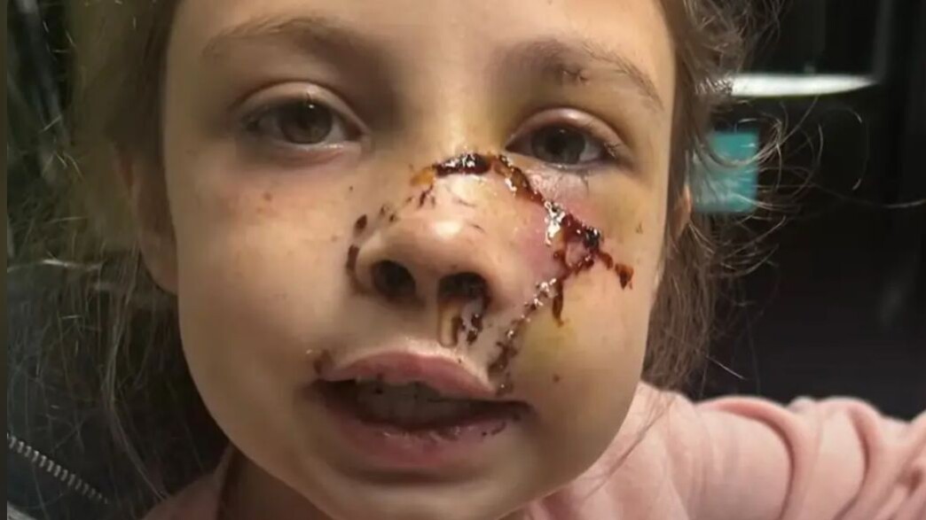 דליילה דליילה