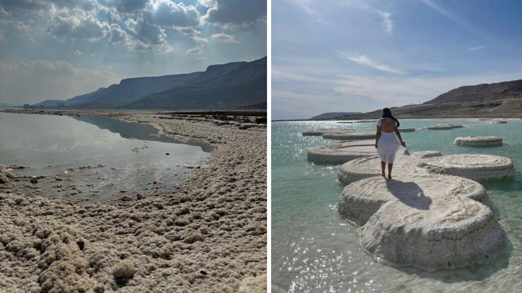 פטריות ים המלח לפני ואחרי