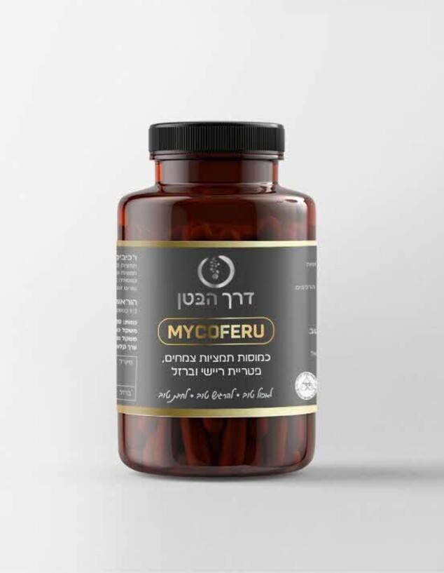 חדש על המדף נובמבר 2025