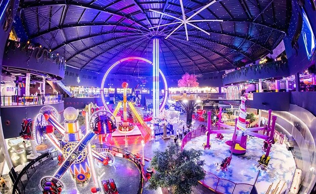 חיתוכים נובמבר 2025 