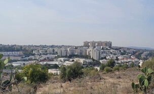 מודיעין (צילום: עומר הרפז)