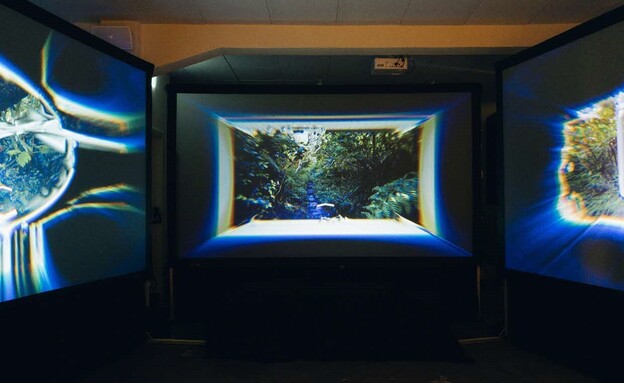 Seeing Sounds  (צילום: עידו אסולין)