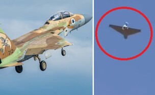 הקרב על השמיים (צילום: רשתות חברתיות לפי סעיף 27 א', דובר צה"ל)