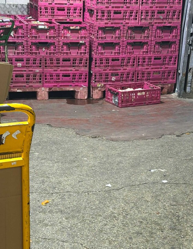 תפוחי אדמה בסביבה רטובה ומלוכלכת תפוחי אדמה בסביבה רטובה ומלוכלכת