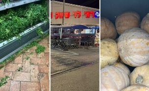 הליקויים בסניפי רמי לוי (צילום: יונתן דושניצקי)