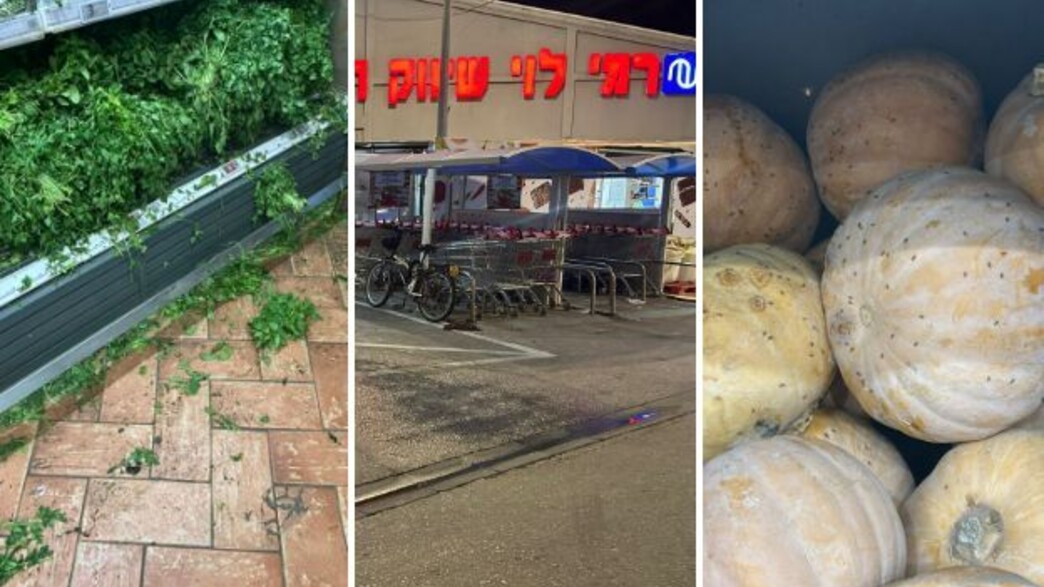 הליקויים בסניפי רמי לוי הליקויים בסניפי רמי לוי