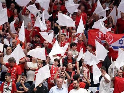 (אלן שיבר) (אלן שיבר)