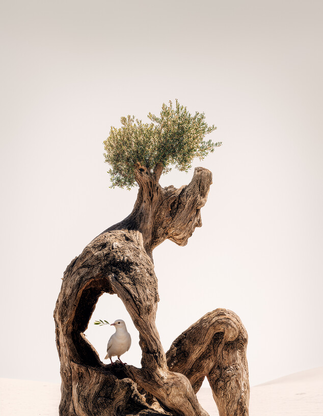 יצירות רועי עדין