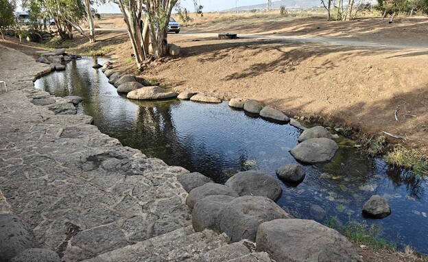 בריכת גדעון